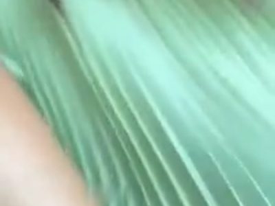 Nứng lồn quá nện nhau ngay trong xe cực phê