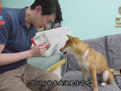 Địt em ghệ cosplay lồn dâm kiểu doggy cực phê